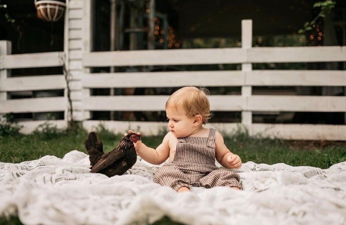A young child sitting on a white blanket outdoors, touching the beak of a dark-colored chicken. The background features a white wooden fence and some greenery.