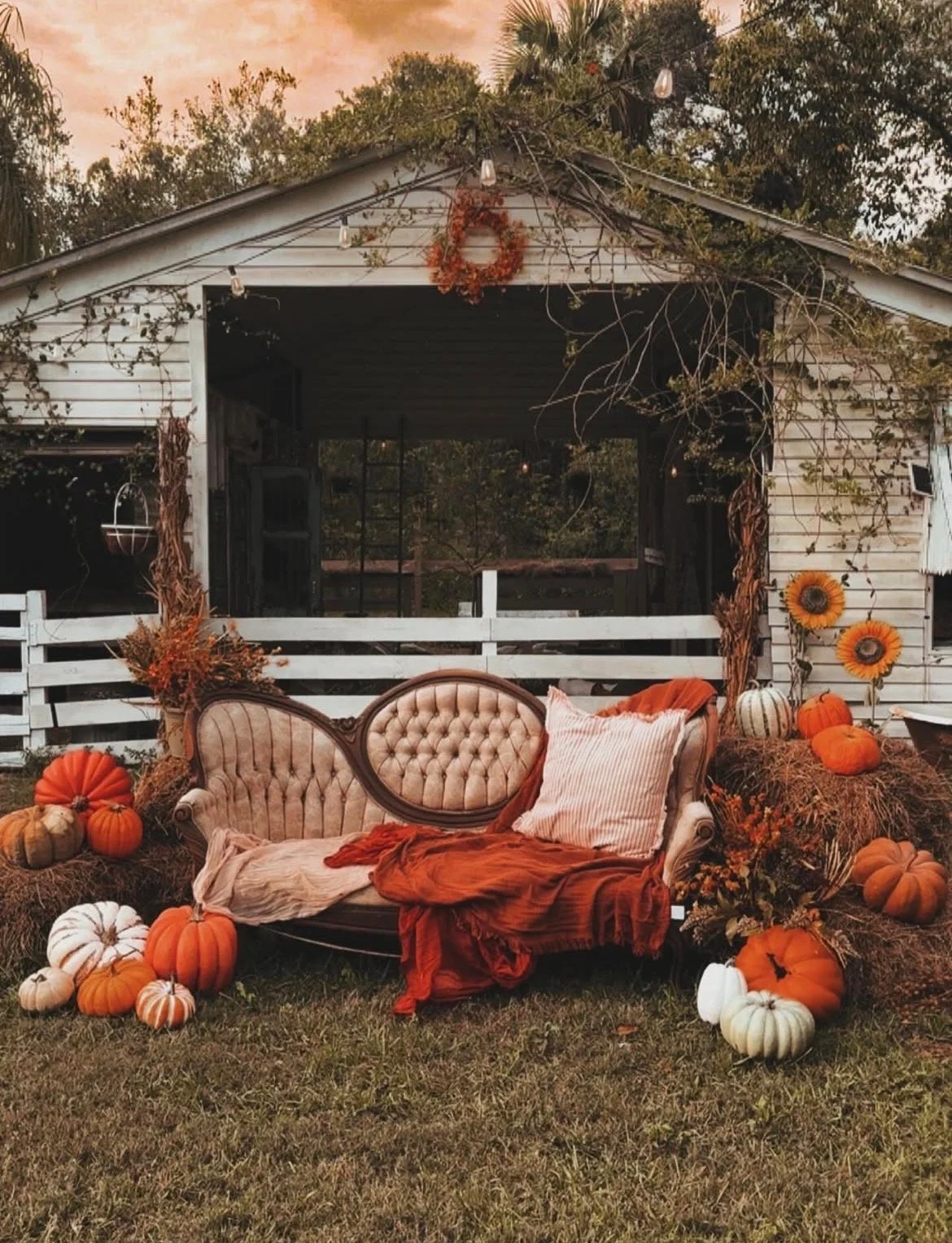 Outdoor autumn scene with vintage sofa, pumpkins, fall foliage, and string lights in front of a weathered shed.