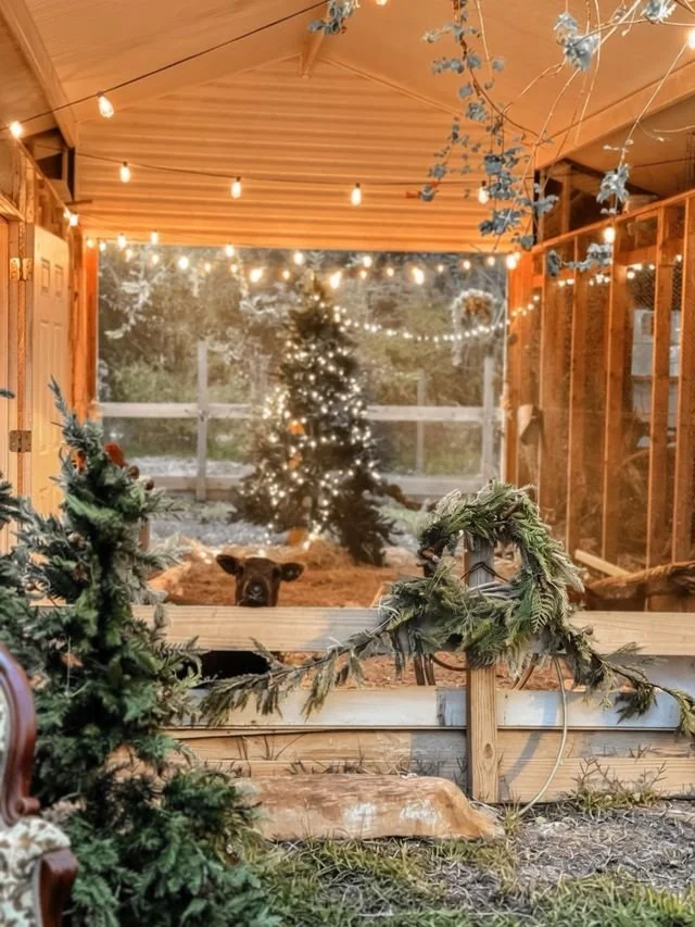 A decorated Christmas tree in a rustic, outdoor setting with string lights, a dog peeking over a wooden barrier, and festive greenery and garlands.