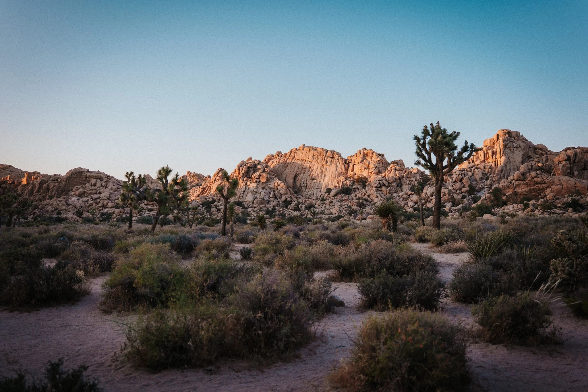 Sarah_Joshuatree_03.jpg