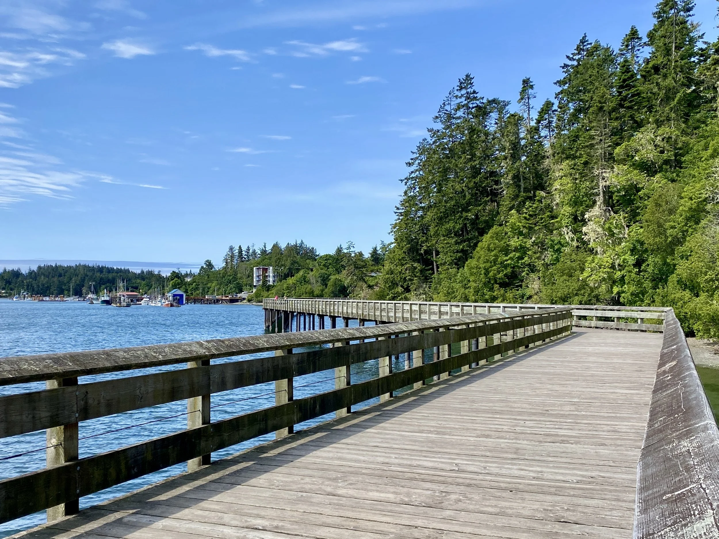 What does planning in the public interest mean for Sooke?