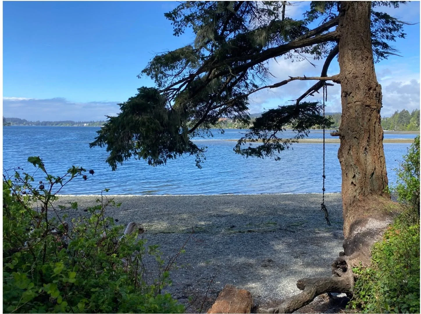 Parks and trails are consistently one of the things Sooke residents say they value and want their tax dollars spent on. Sooke has more than 80 parks and green spaces &ndash; but they vary enormously in size, quality, and usefulness. We also have over