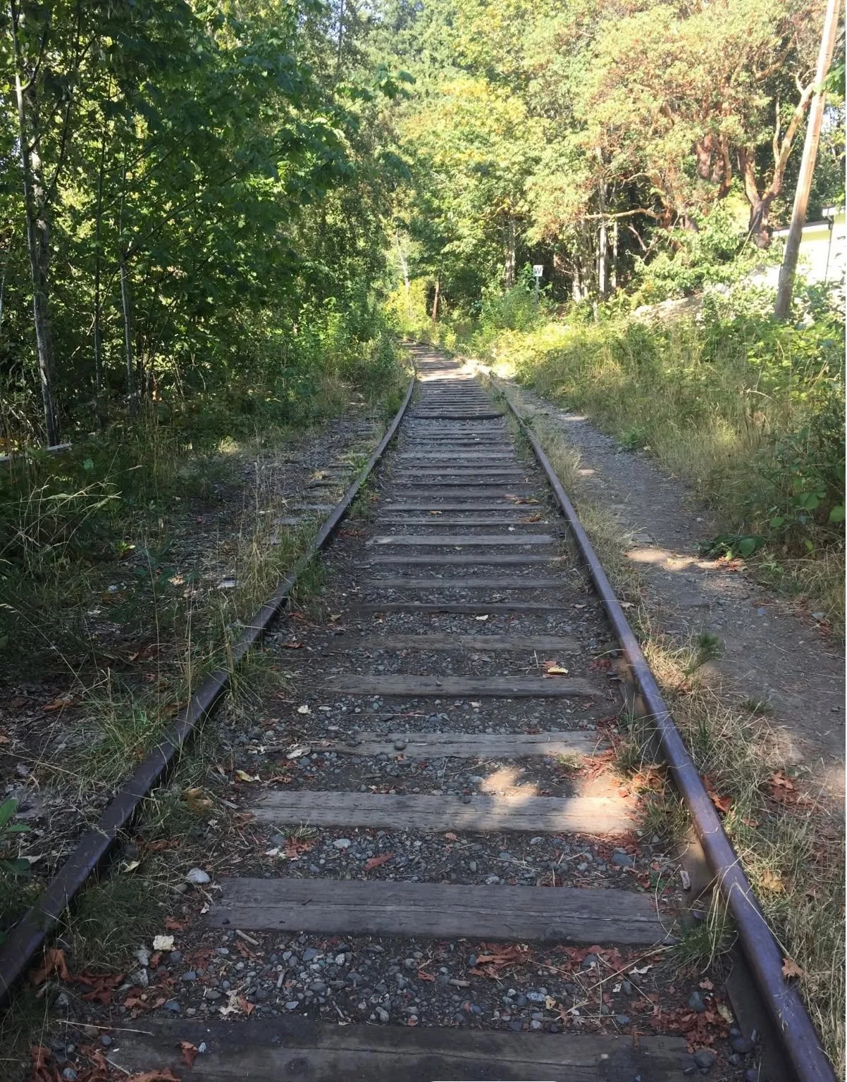 Thanks everyone for one of our best Facebook conversations yet on our transit post last week. Clearly, Sooke wants to talk about transportation. We wanted to share some information about a possible new transportation project that might have sounded l