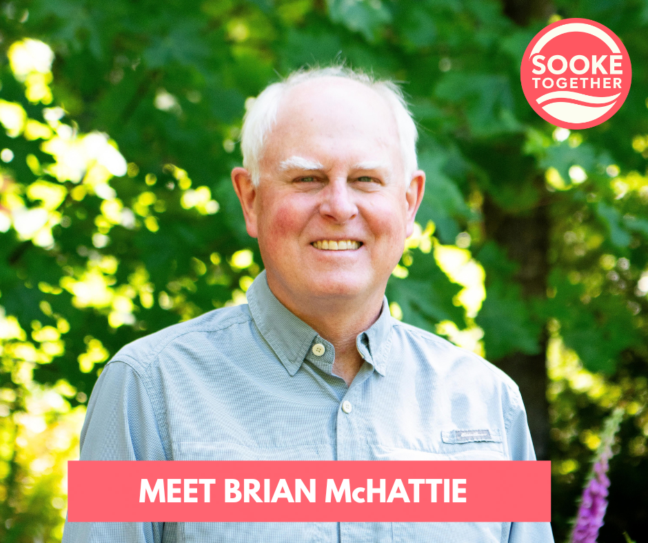Meet Brian McHattie