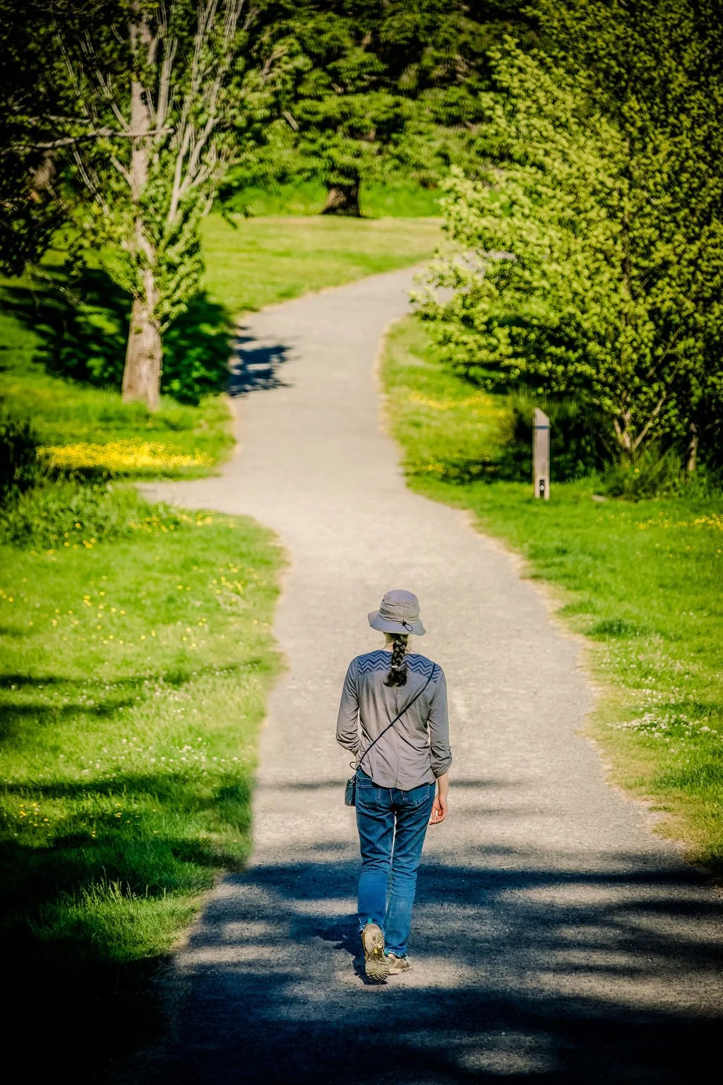 A person walking on a winding gravel path in a lush green park, surrounded by trees and grass, during daytime.