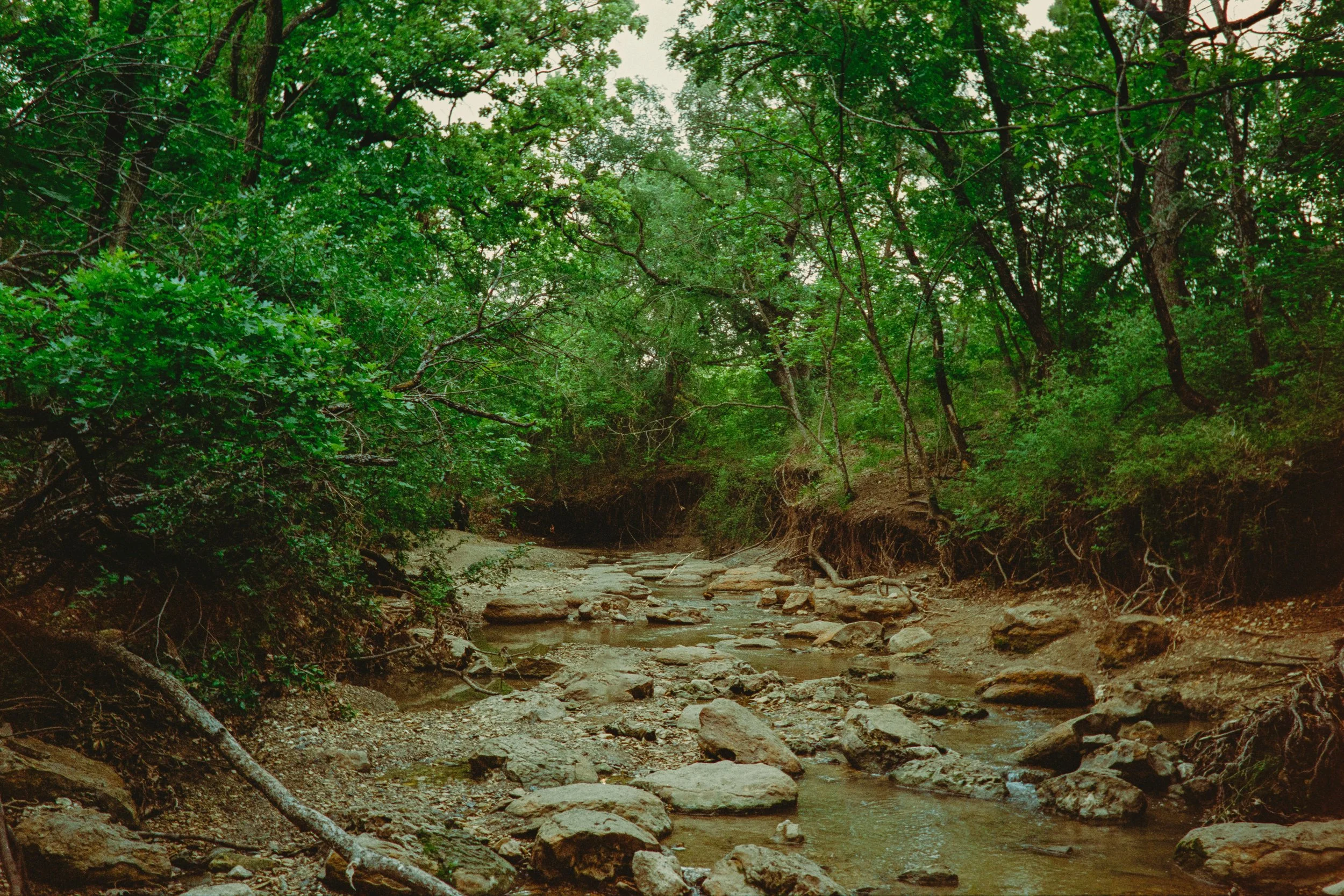 portra-4-19-26-066.jpg