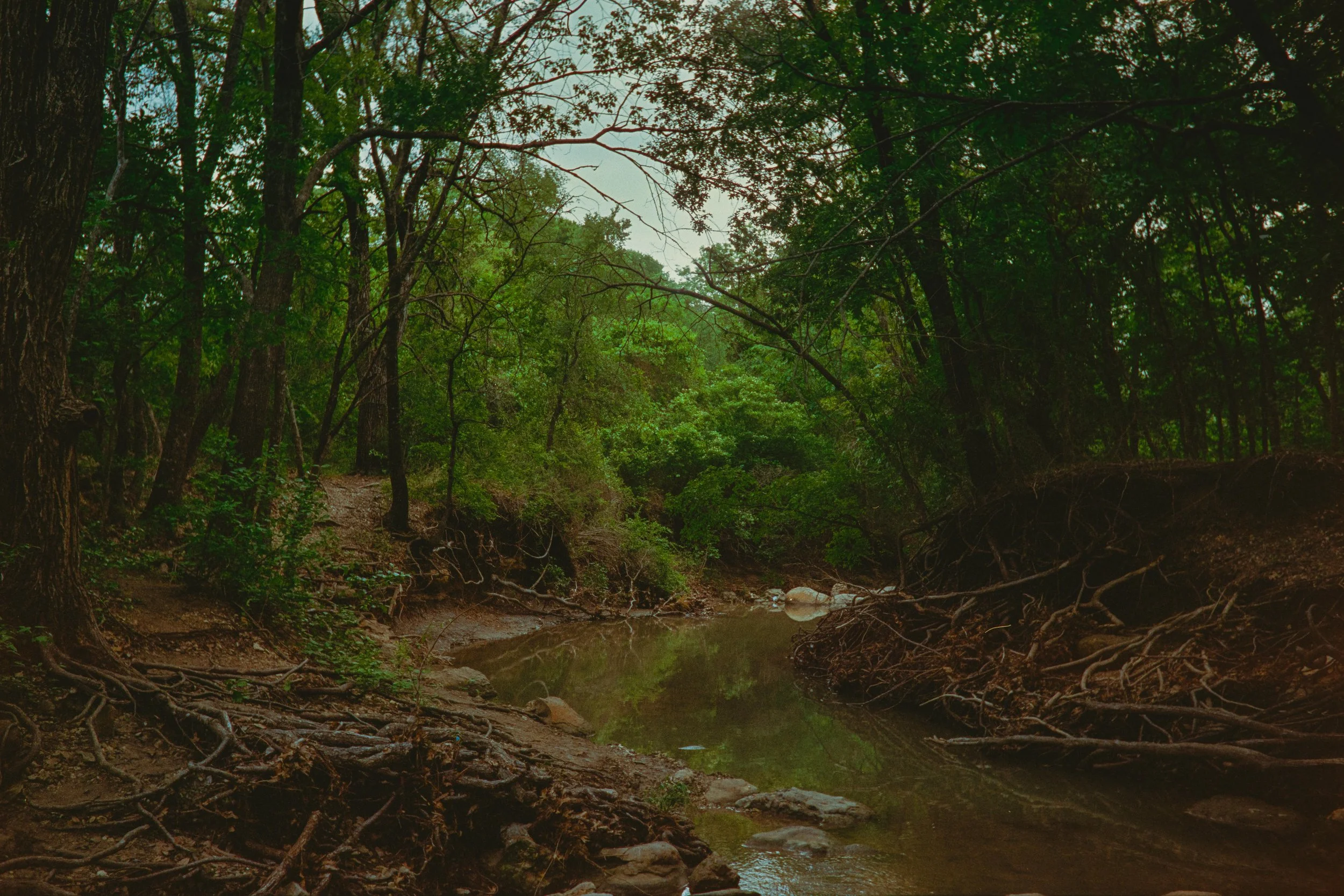 portra-4-19-26-065.jpg
