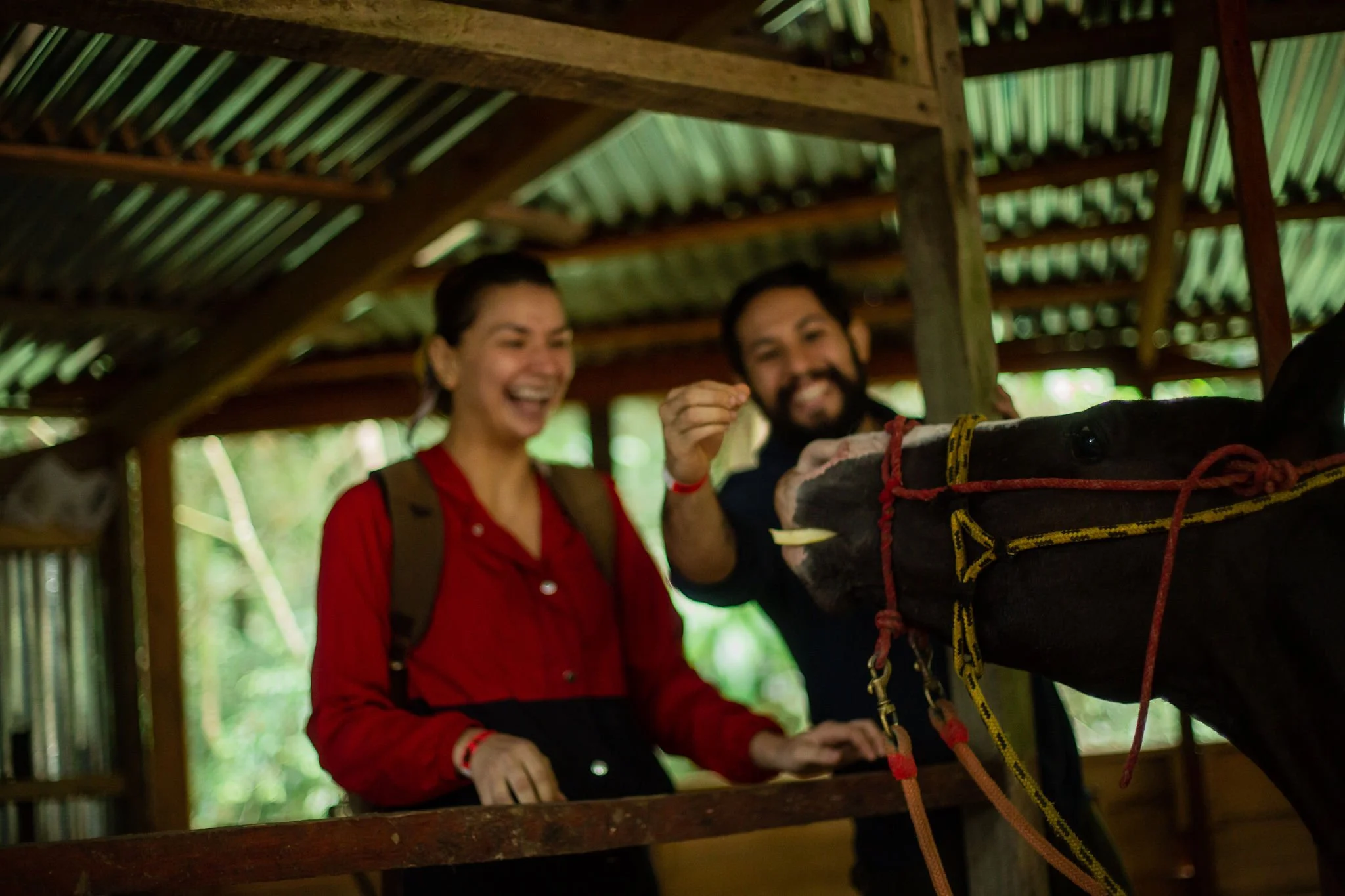 horseback rideing