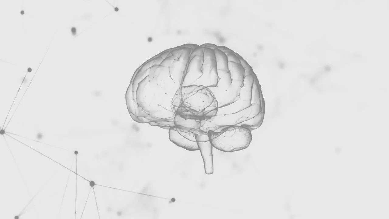 empathology_brain_mobile107.jpg