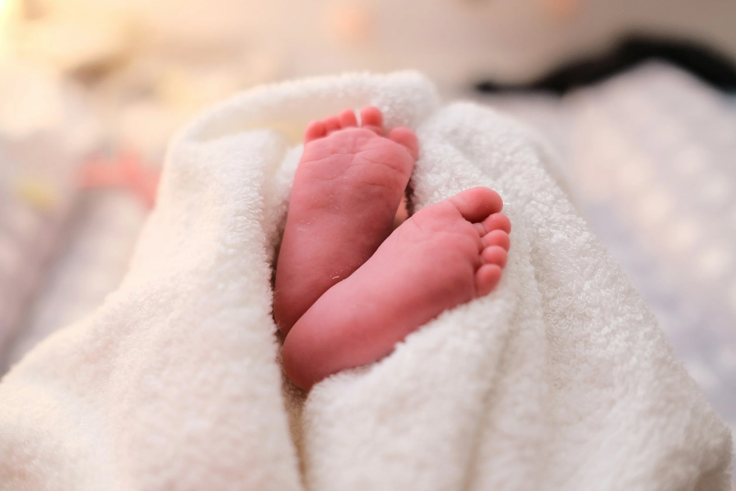 unsplash-image-OUYg0Q3ec-Y.jpg