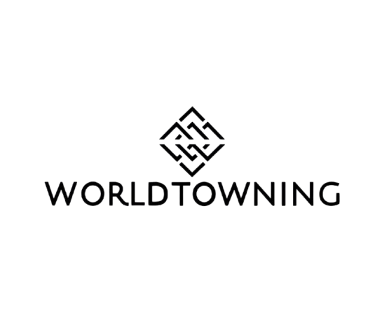 World Towing logo with a geometric symbol above the company name