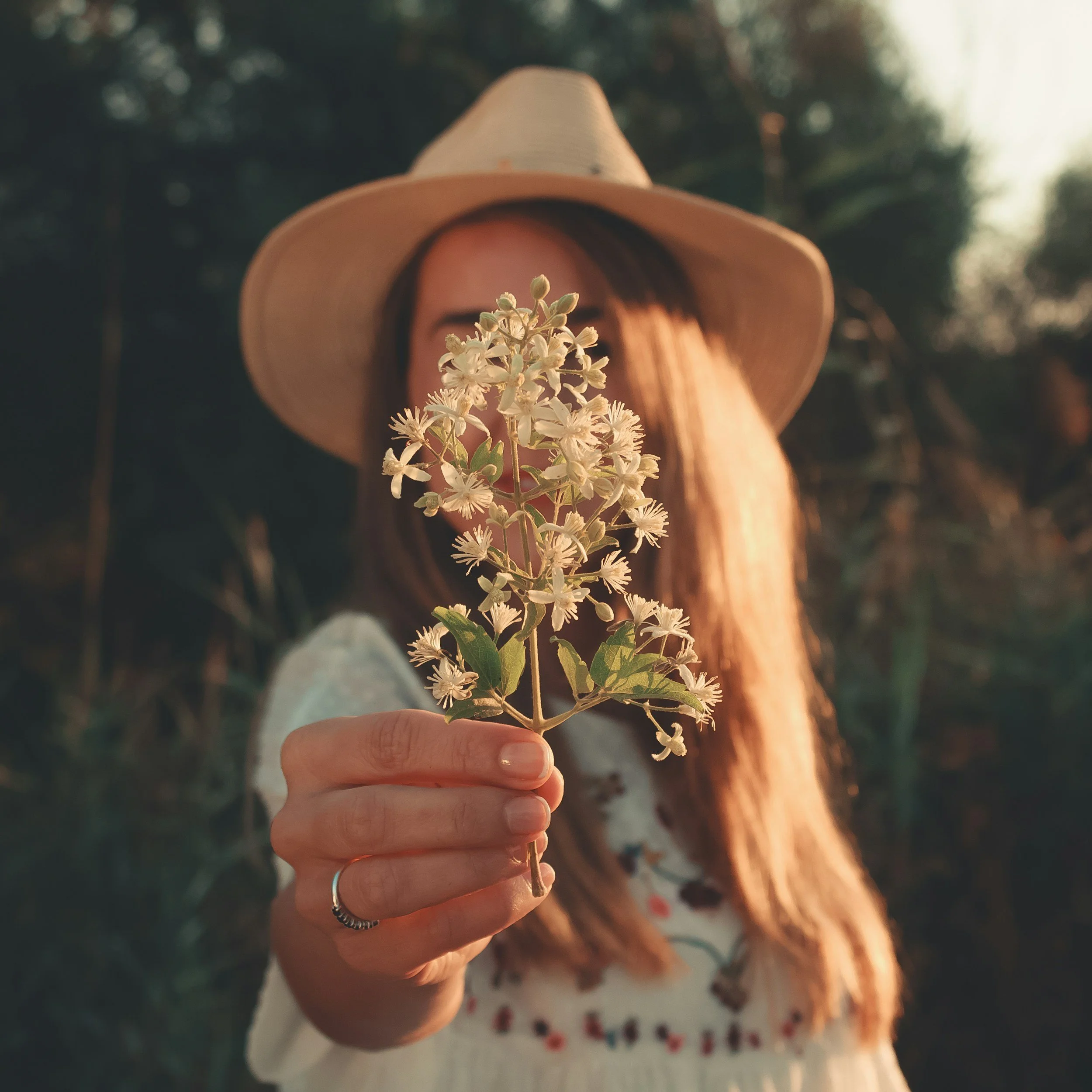 NC photographer raleigh