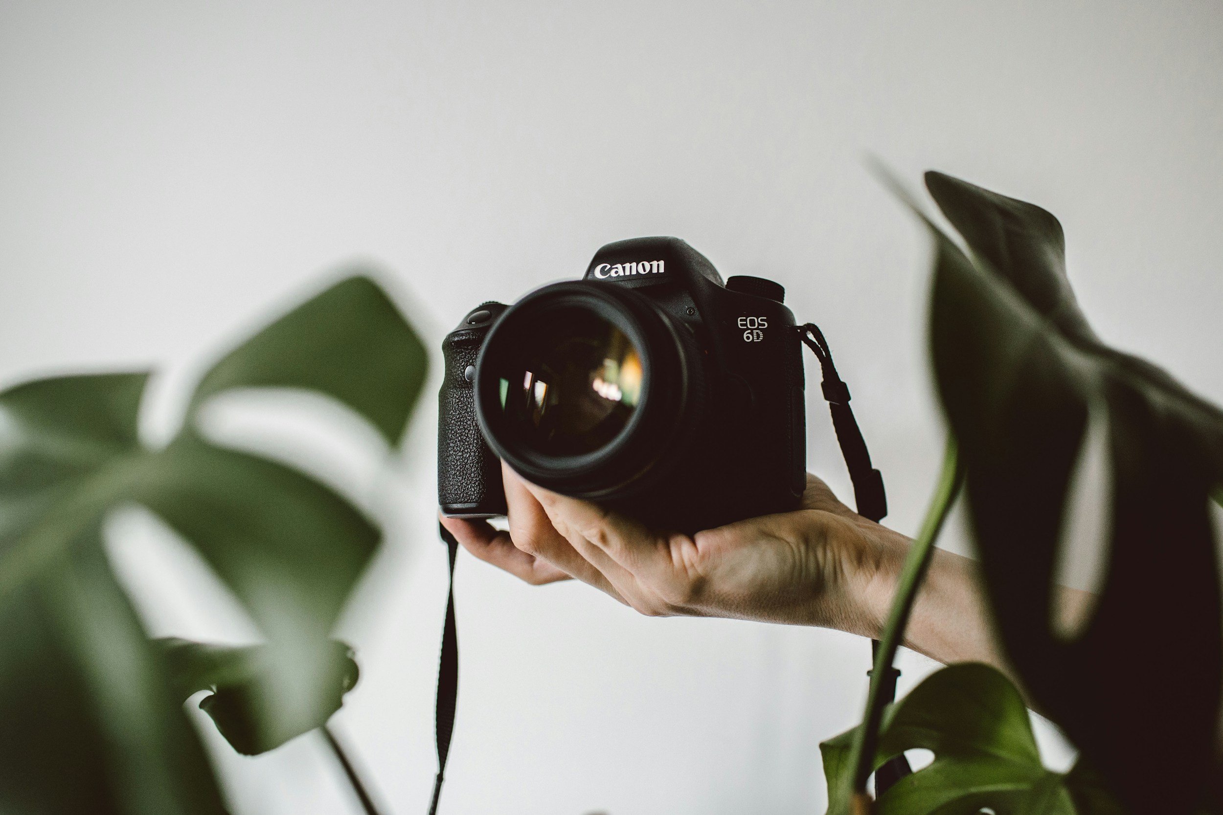 A person holding a Canon EOS 6D camera surrounded by green plant leaves.