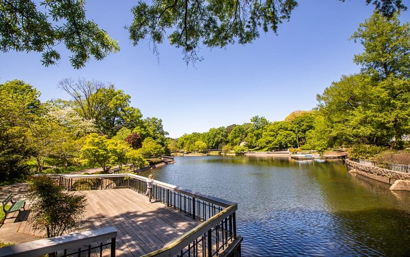 A peaceful park with a wide river, trees with green foliage, a wooden viewing platform, and a clear blue sky.