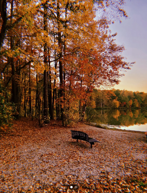 A lakeside scene in autumn with orange and yellow trees, a black bench on a gravel shore, and calm water reflecting the trees and sky.