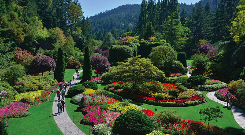 A botanical garden with various colorful flowers, green shrubs, and trees, with pathways and visitors walking around, set against a backdrop of forested hills and clear blue sky.
