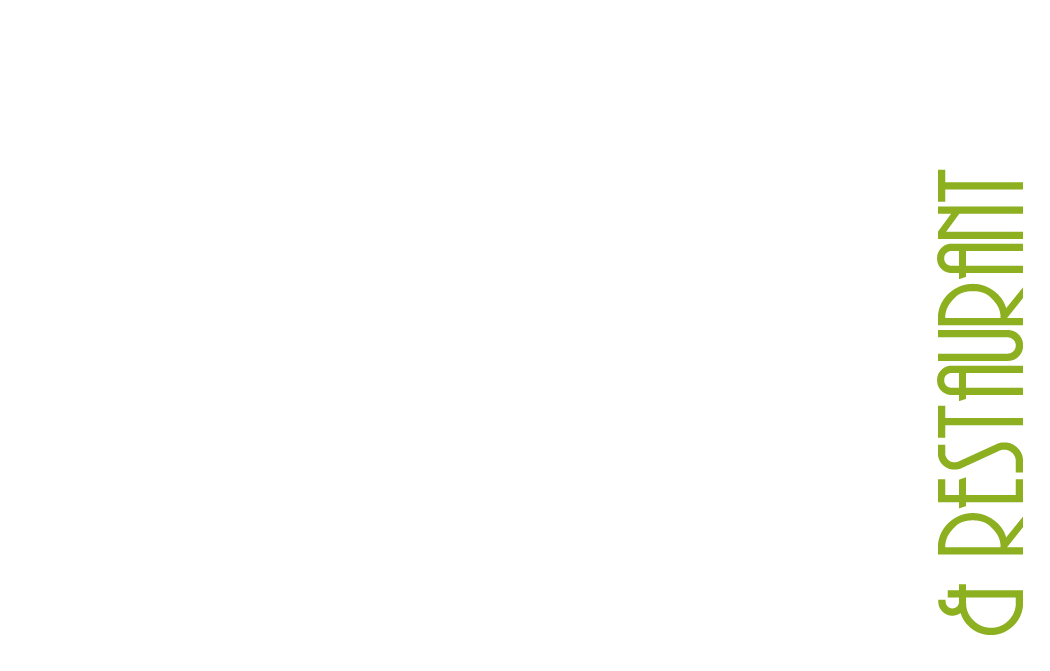 Spider Sushi Bar