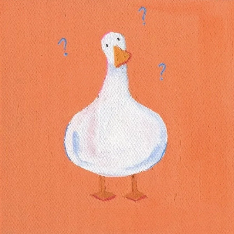 An illustration of a white cartoon duck with an orange beak and feet, standing on a pink background with question marks around its head.