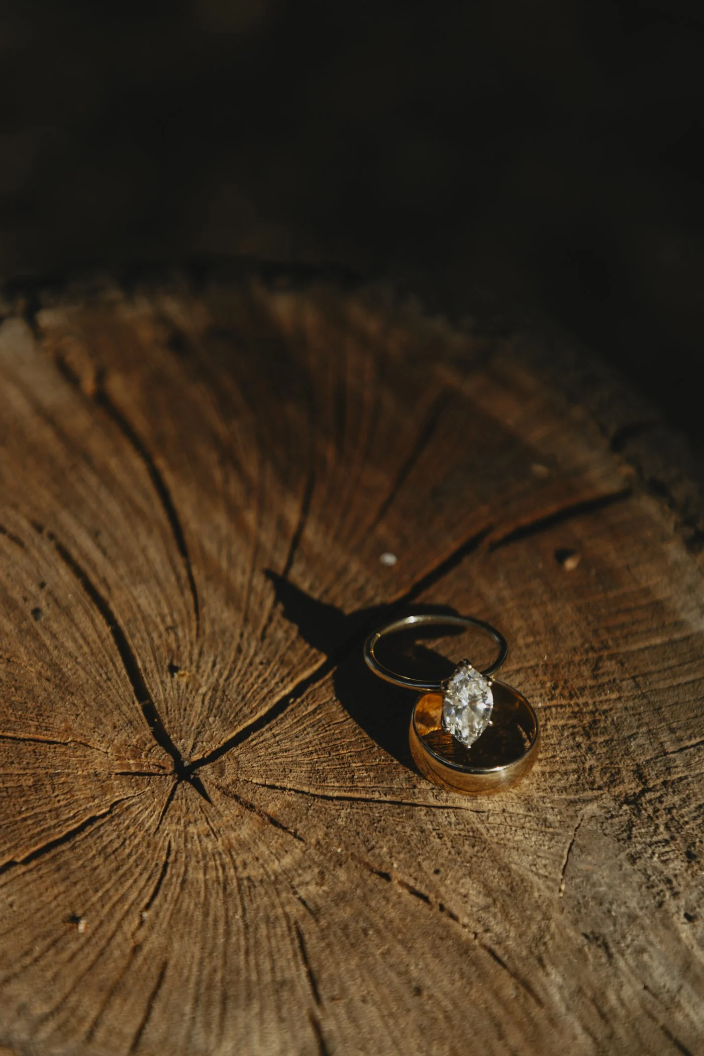 Vola-Via-Studio-Pasadena-City-Hall-Elopement-Photographer-20.jpg