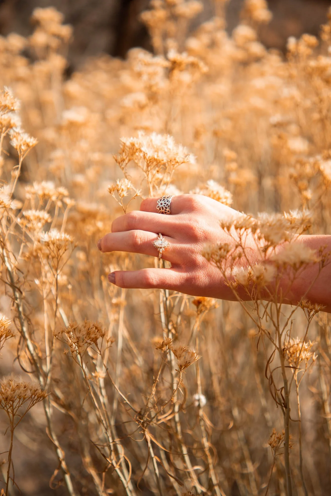	
Zion National Park Utah | Engagement and Elopement Photographer | Vola Via Studio