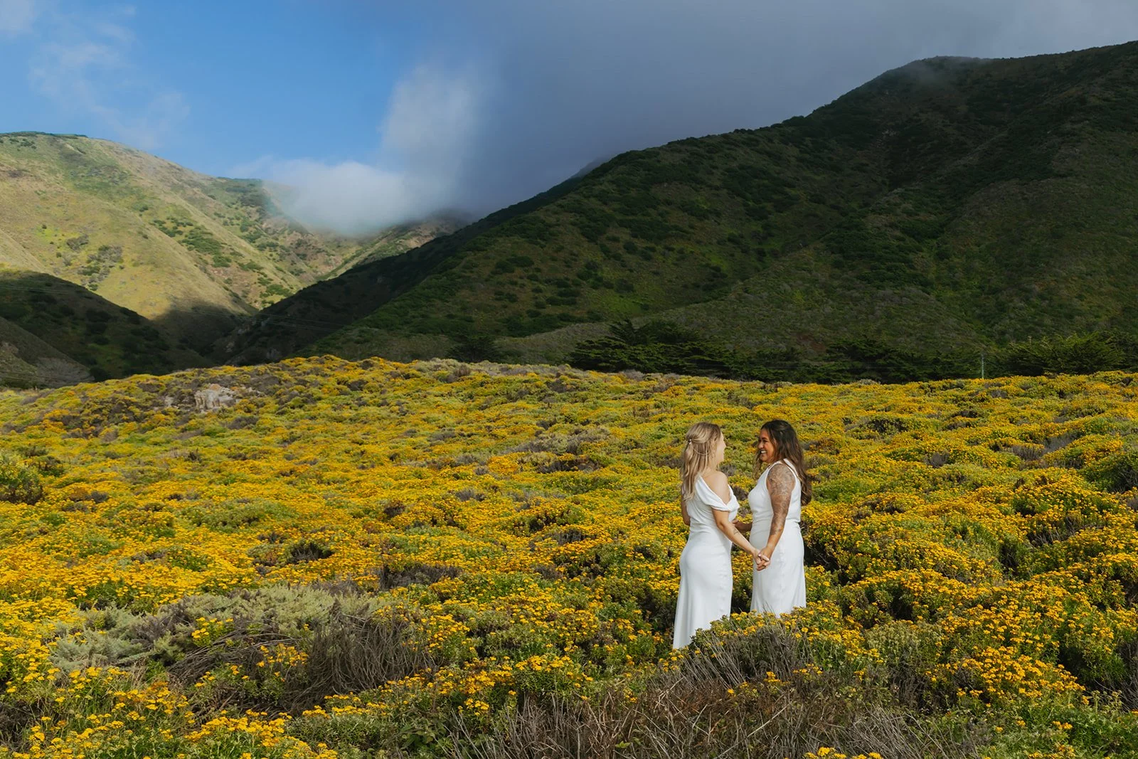Big Sur California | Engagement and Elopement Photographer | Vola Via Studio