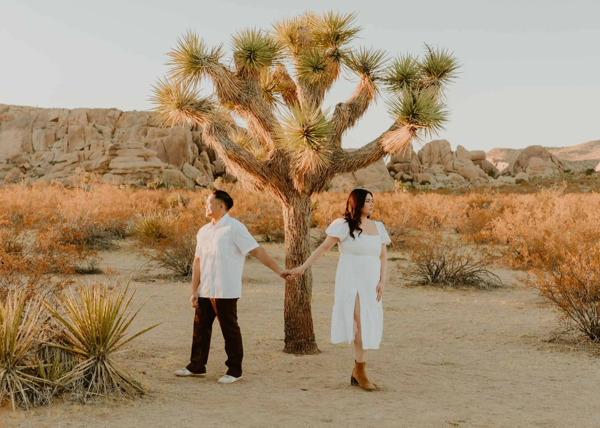 Joshua Tree California | Engagement and Elopement Photographer | Vola Via Studio