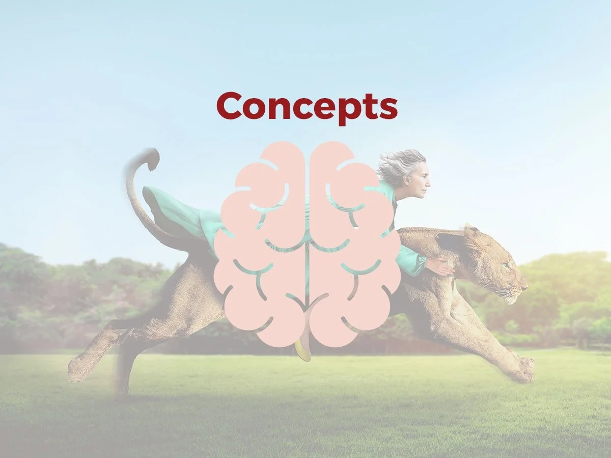 Concepts