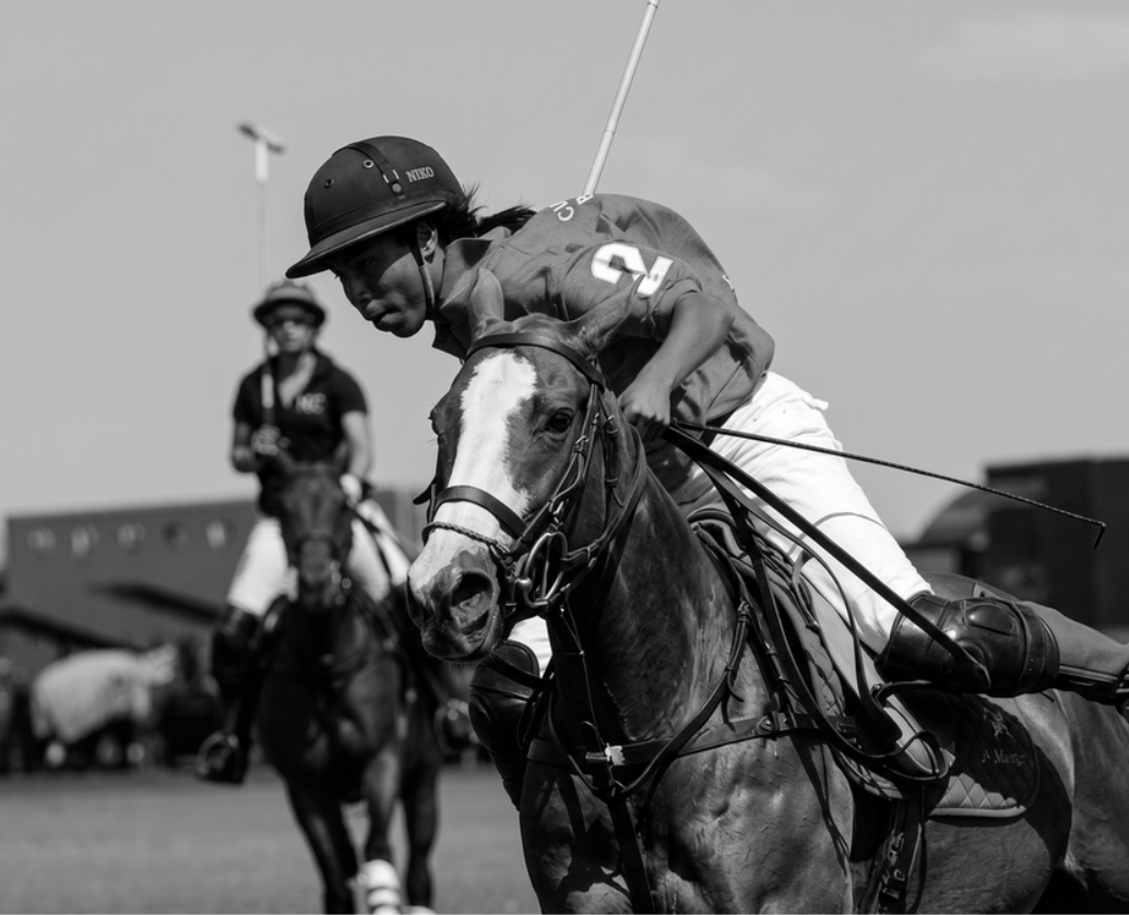 Northrup to invest in African sport, tennis, polo.