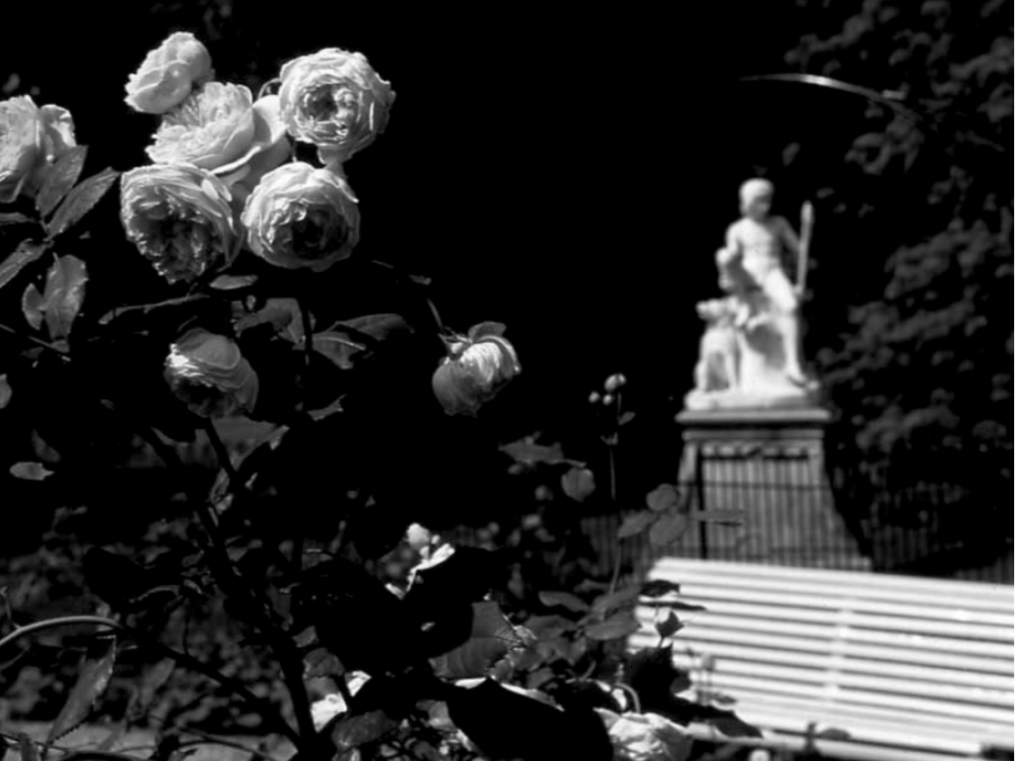Sir Christopher Wren Park