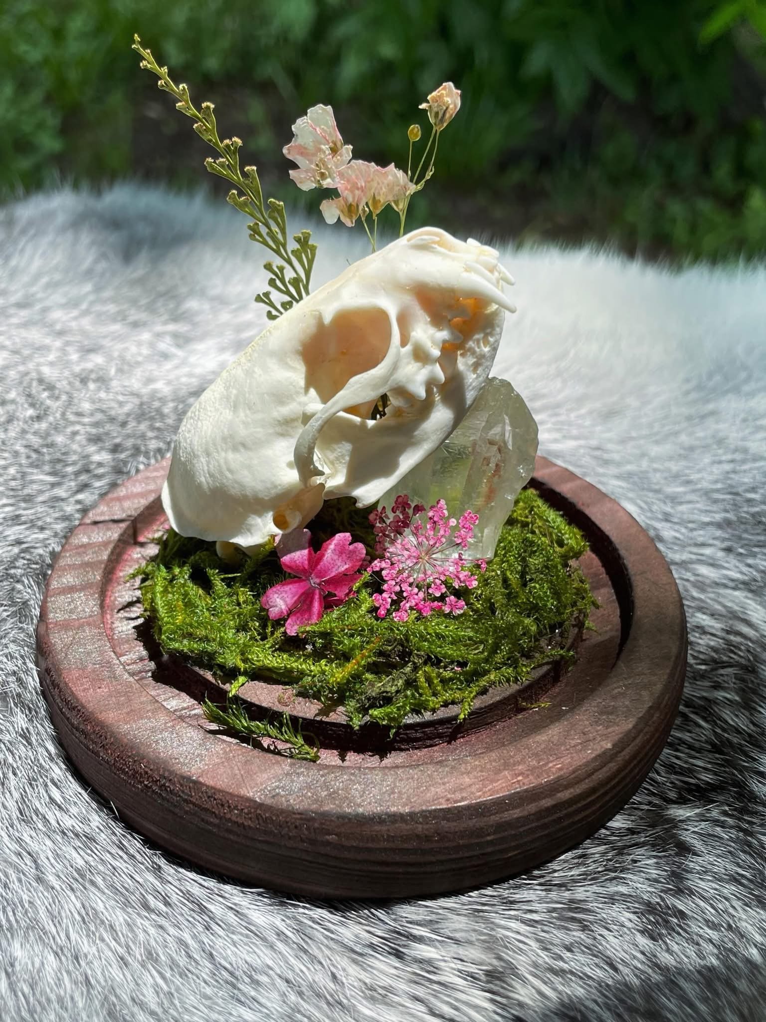Mink Skull Cloche