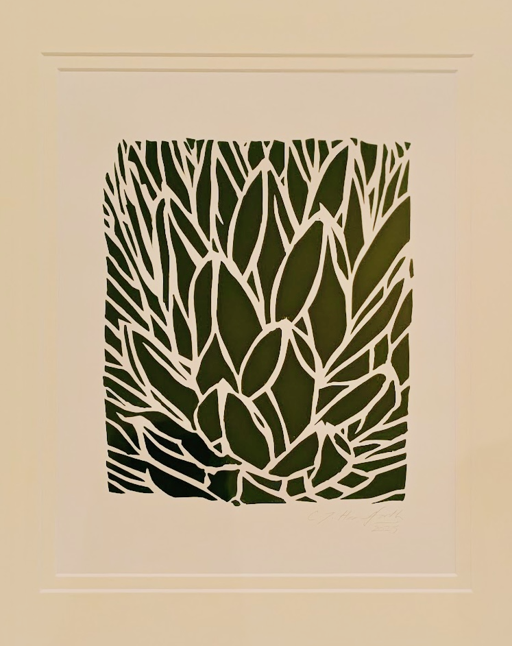 Agave victoriae-reginae screenprint - unframed