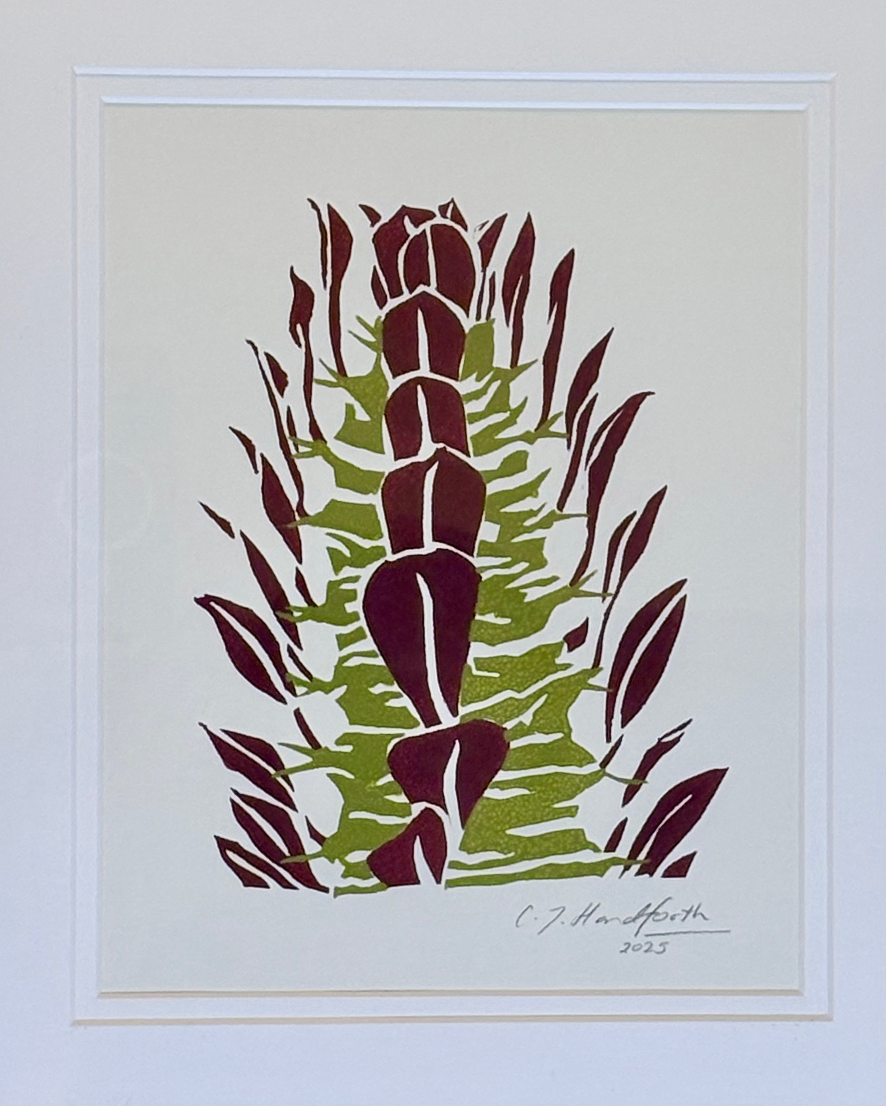image of original hand screenprint with Euphorbia trigona 'Rubra' design from Handforth Botanical Studio
