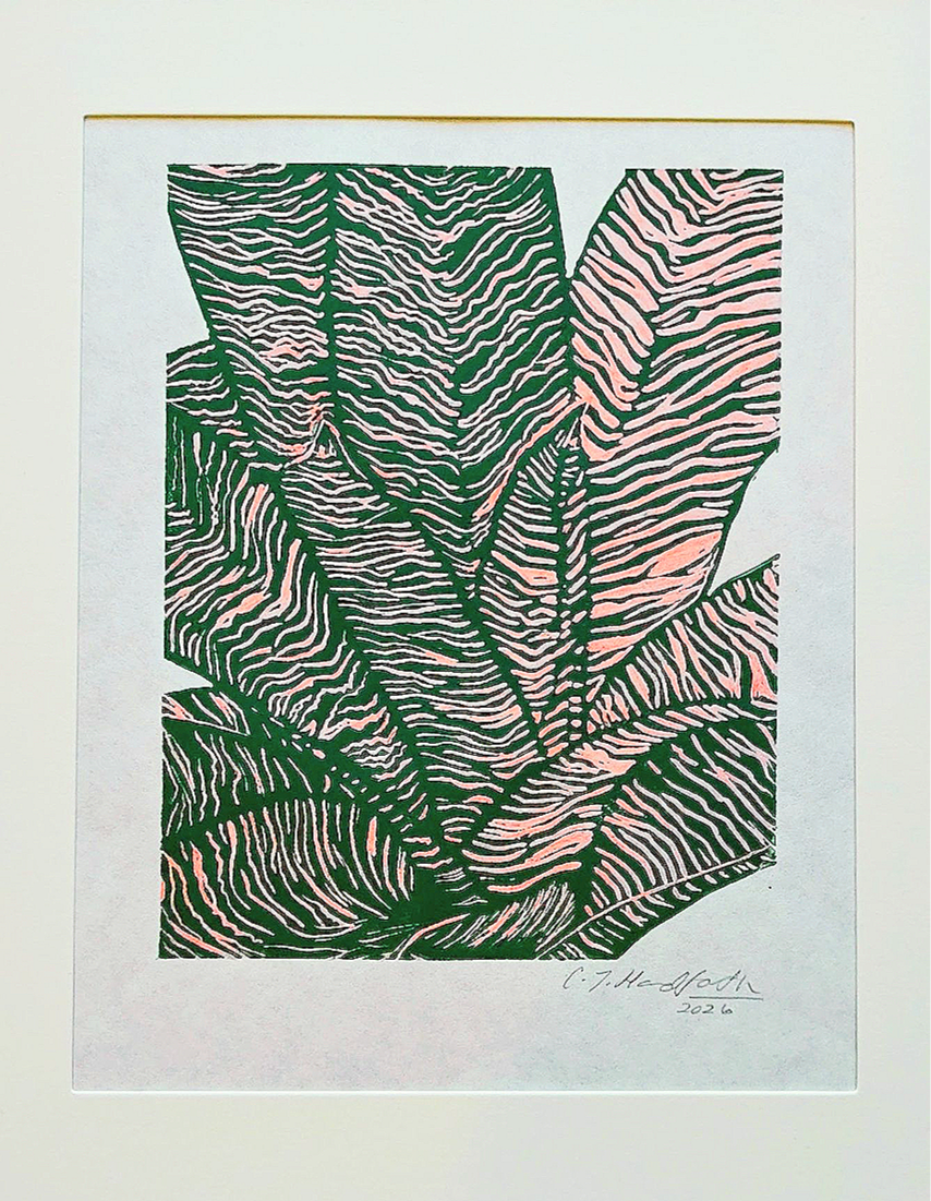 image of mixed media original linocut unframed print with Vriesea hybrid design in green and pink color from Handforth Botanical Studio