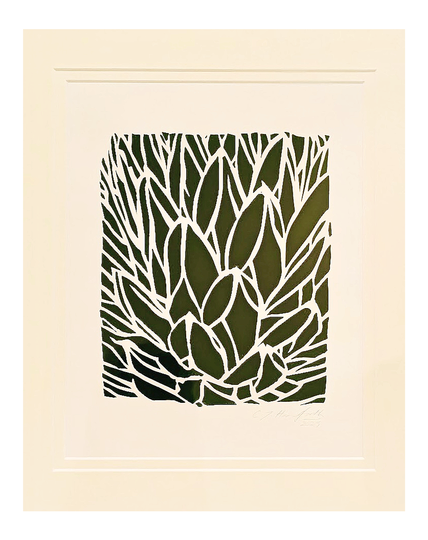 Image of original, hand screenprint with Agave victoriae-reginae design from Handforth Botanical Studio