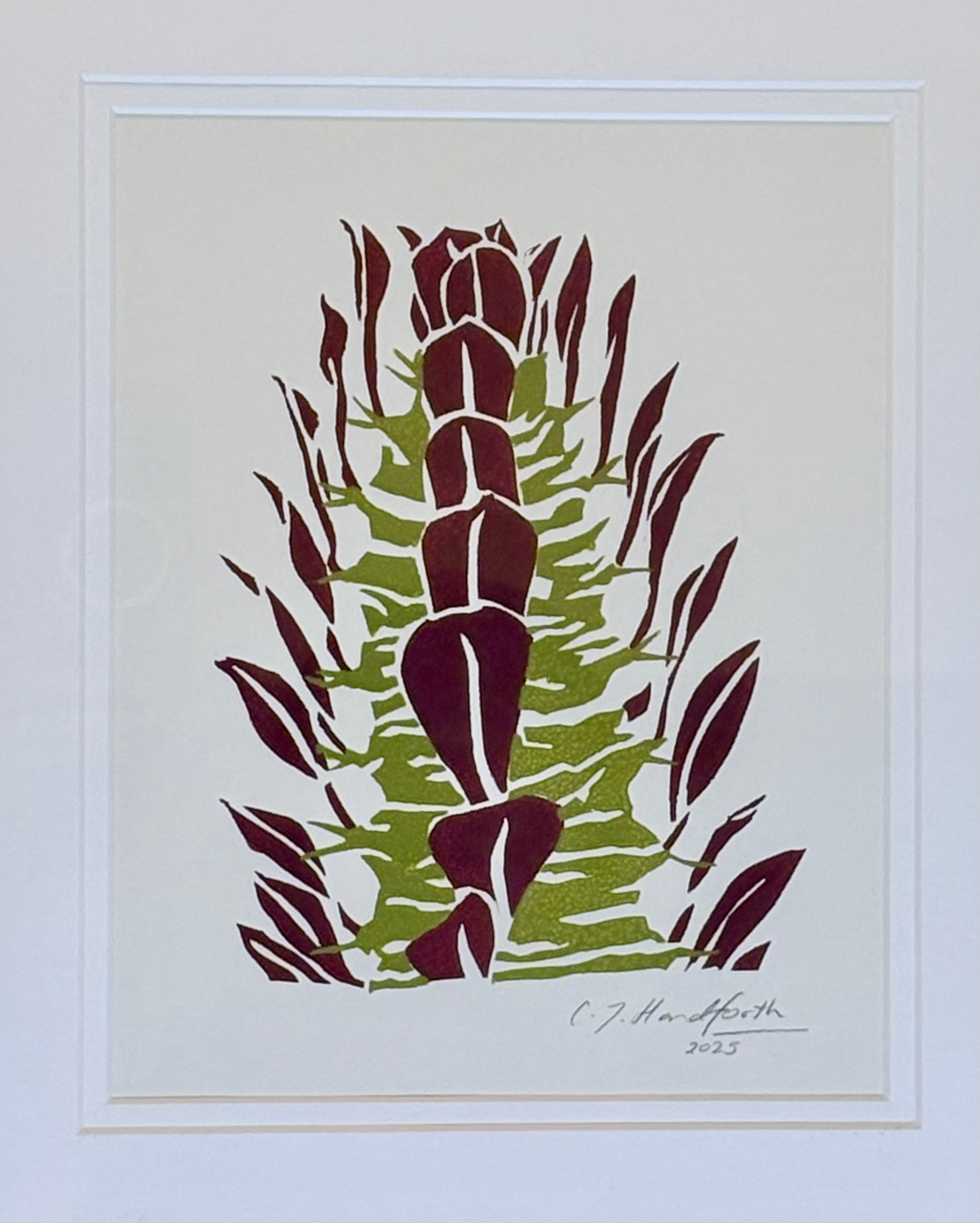 Euphorbia trigona 'Rubra' screenprint - unframed