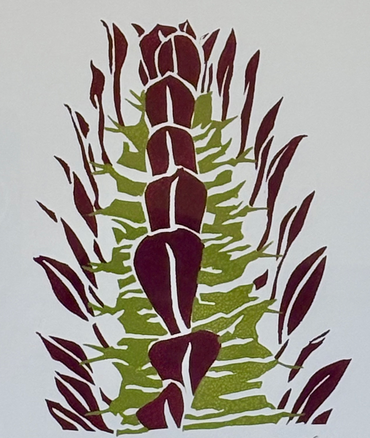 Image of original, hand screenprint with Euphorbia trigona rubra design from Handforth Botanical Studio