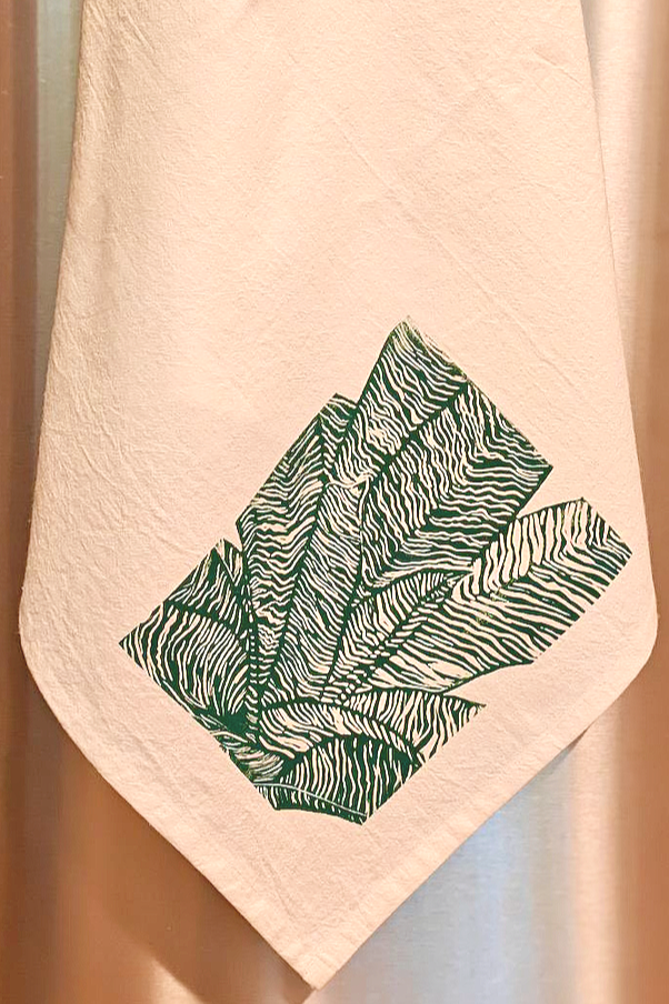 Vriesea+hybrid+draped.png