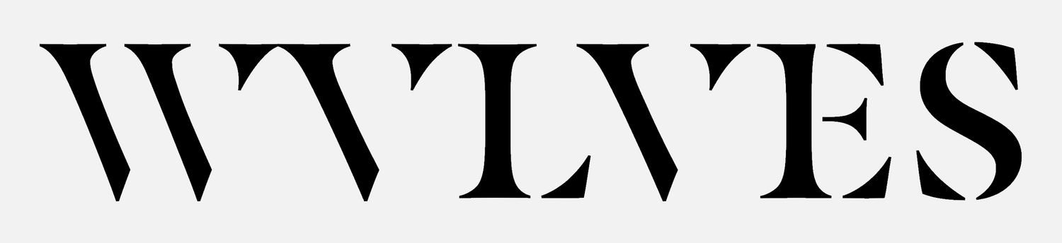 wvlves is a band
