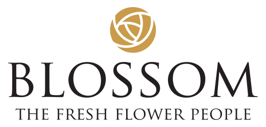 Blossom Accra 