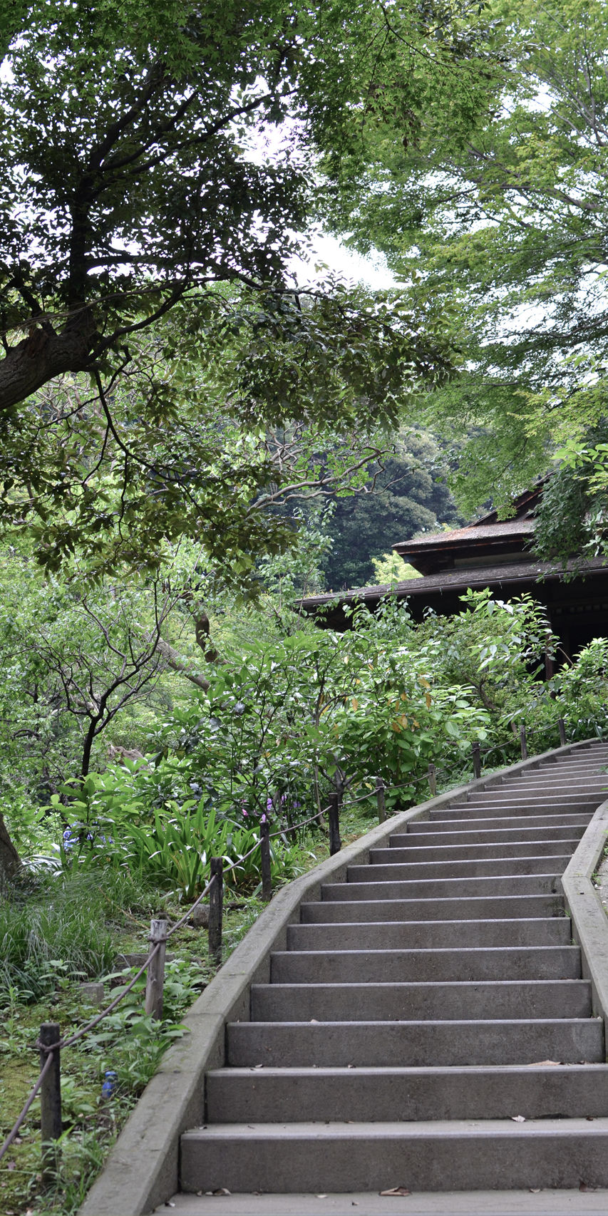A pathway with steps winding through a lush green forest near a traditional Japanese building.