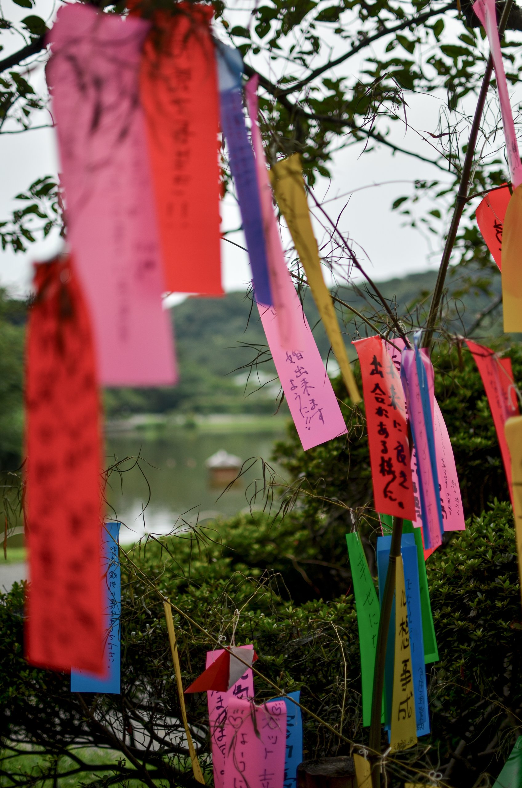 Colorful paper strips with writings hanging from branches of a tree, with a body of water and mountains in the background.