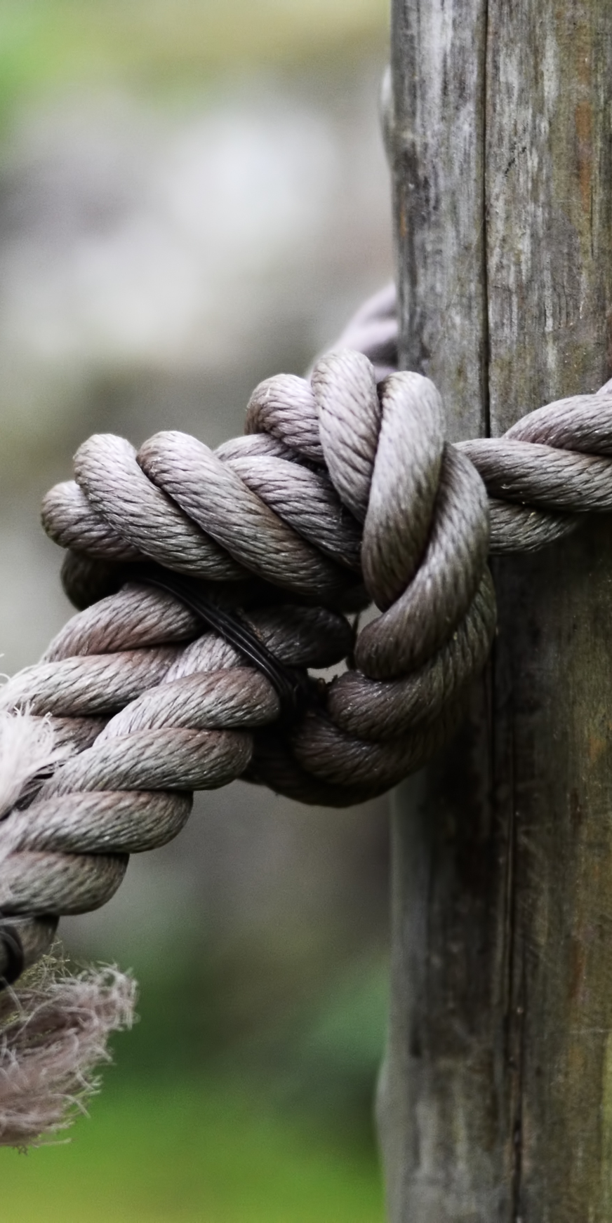 Close-up of a thick, weathered rope tied in a knot around a wooden post outdoors.