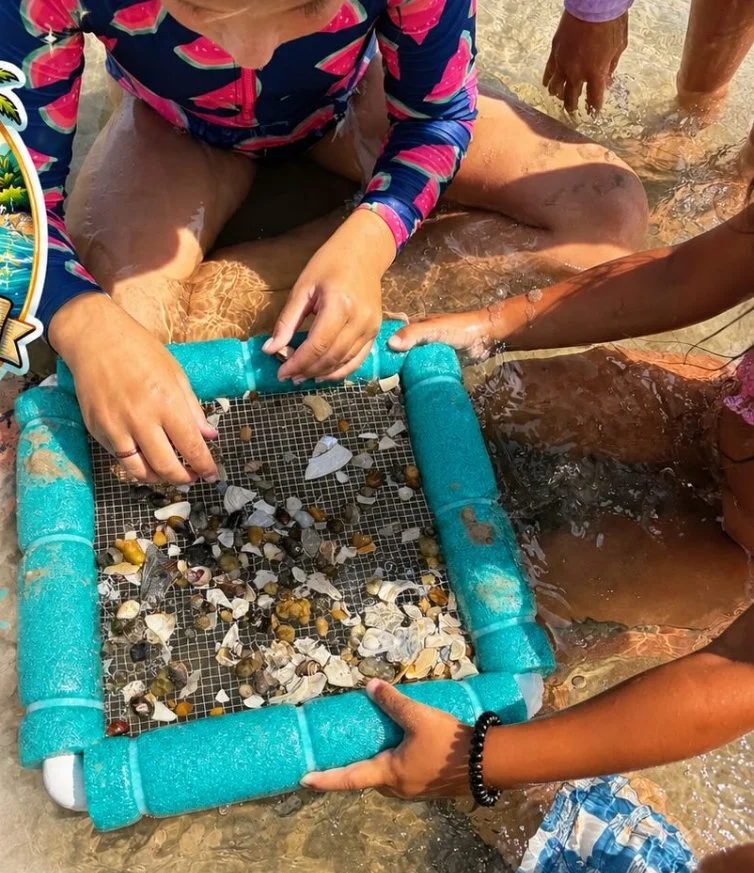 People gathered in shallow water at the beach, examining and collecting shells with an Isla's Shore sifter