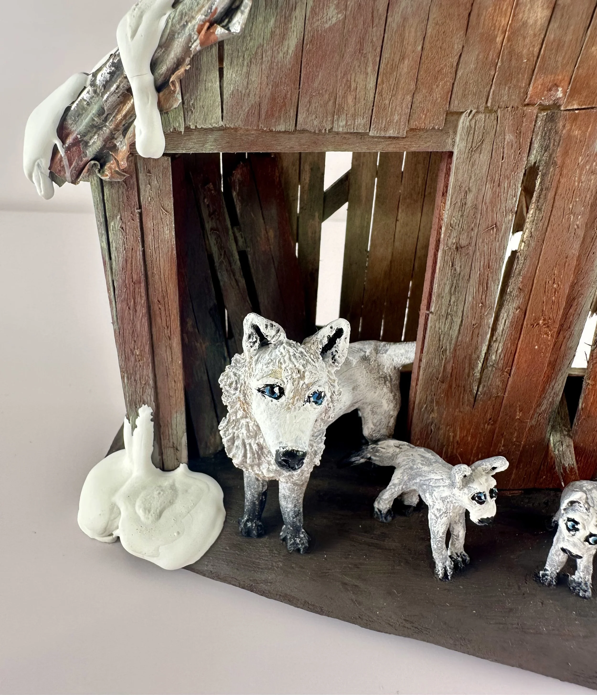 close up wolf.jpg