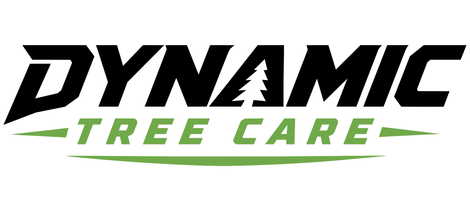 Dynamic Tree Care