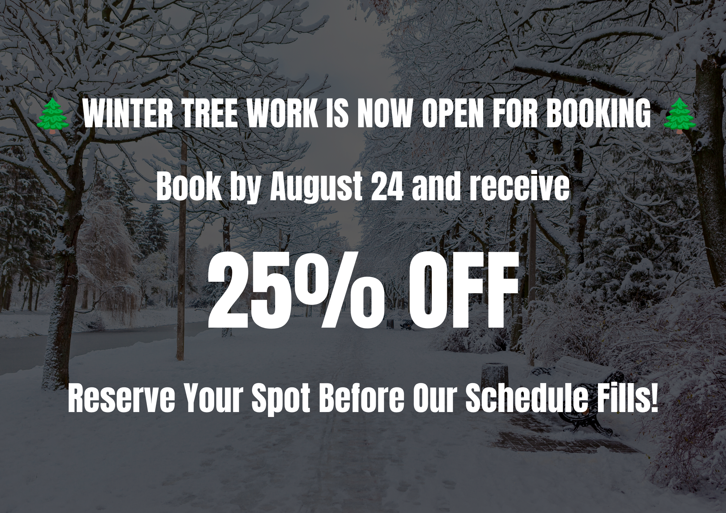 Why Winter Is One of the Best Times for Tree Care in Minnesota