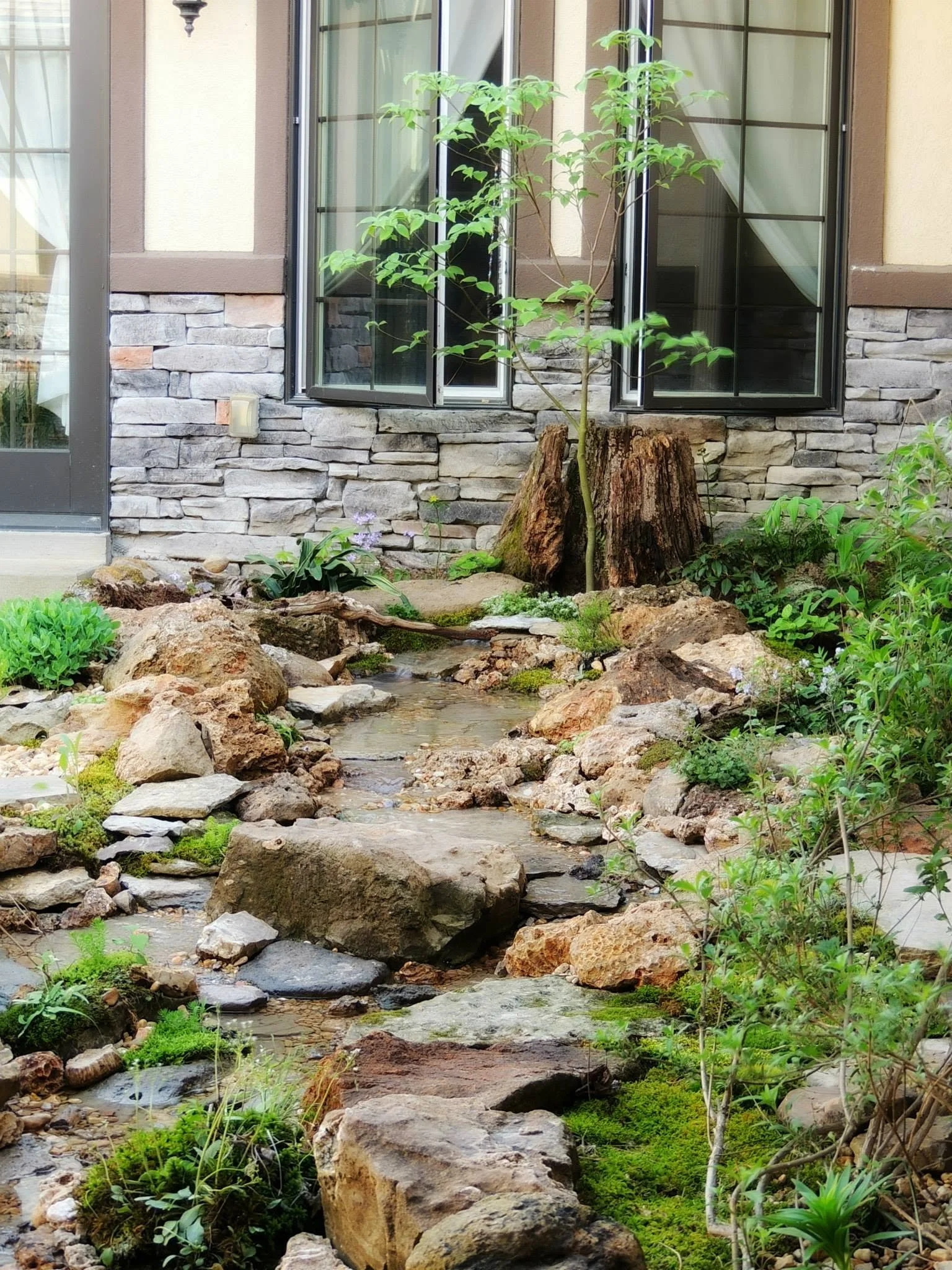 A small garden with a tiny stream running through rocks, surrounded by green plants, in front of a house with a stone and beige exterior wall and two large windows.