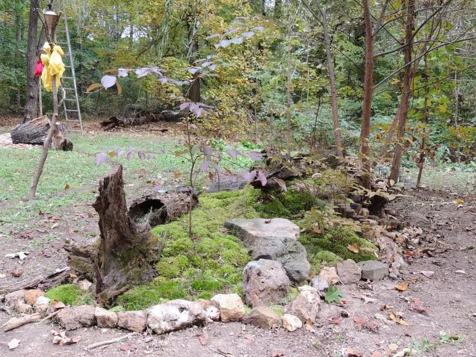 A garden with moss-covered rocks, small plants, and tree stumps surrounded by a dirt path, set in a wooded area with trees and bushes in the background.