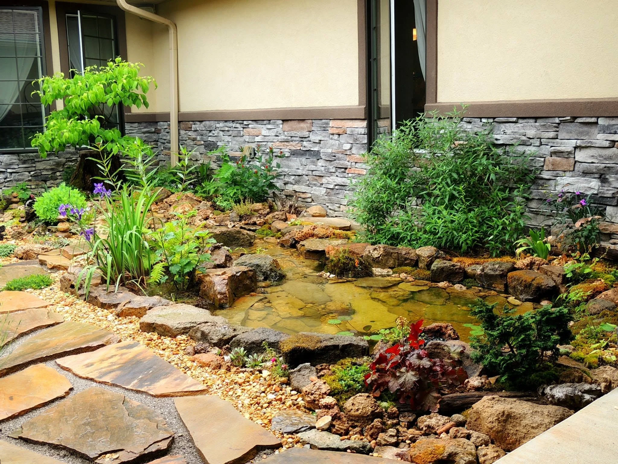 A garden scene with a small pond surrounded by rocks and lush green plants, with a beige house wall and windows in the background.