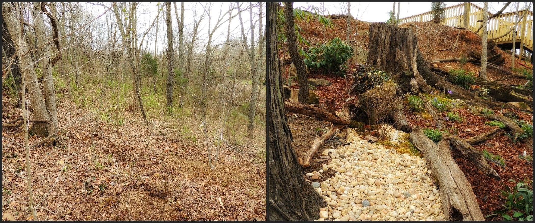 Side-by-side comparison of two sections of a wooded outdoor area. The left side shows a sparse forest with leafless trees and a ground covered in brown leaves. The right side displays a landscaped area with a rock garden, a tree stump, plants, and a 